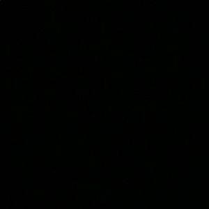 Meet your Posher, Jashley